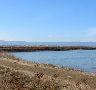 A trail wrapping around the bay at Don Edwards San Francisco Bay National Wildlife Refuge