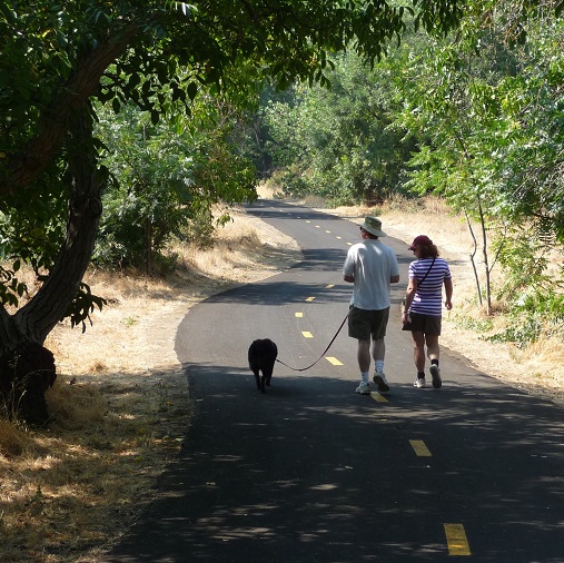 coyote creek bike trail map