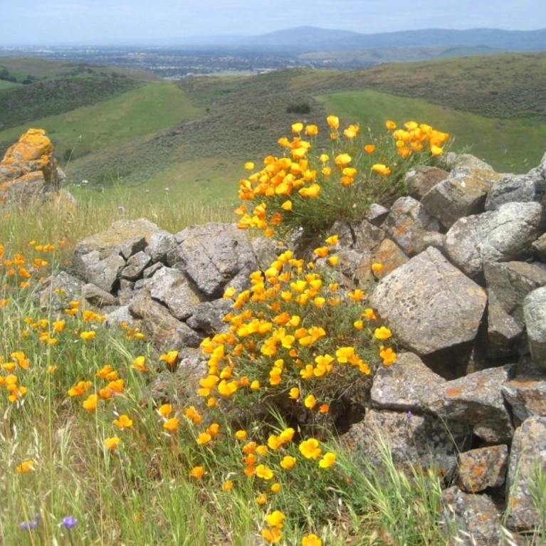 alt text outdoor image.