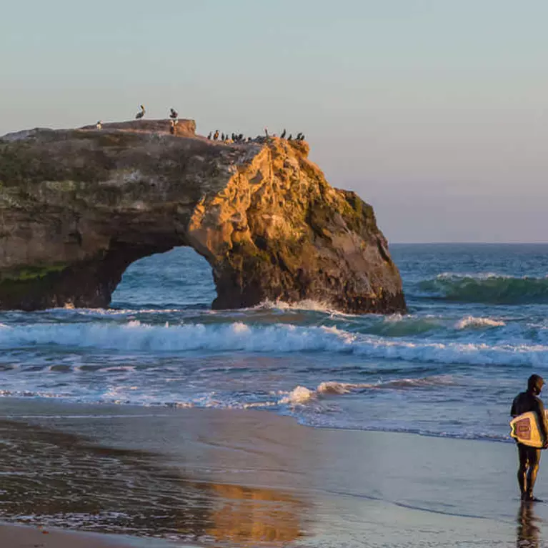 Natural Bridges State Beach San Jose